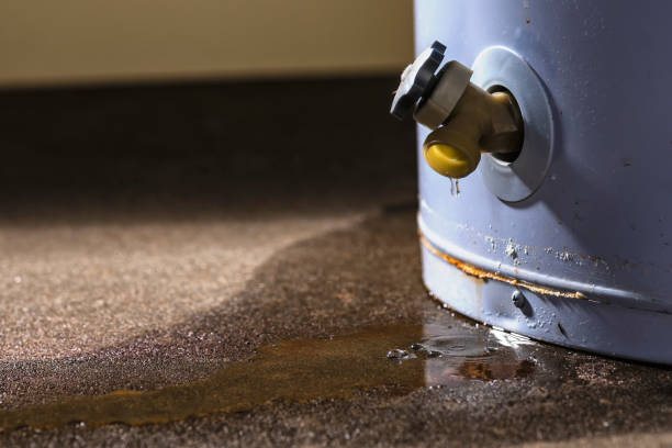 Best Ceiling water damage repair  in Orida Gulf Coast University, FL