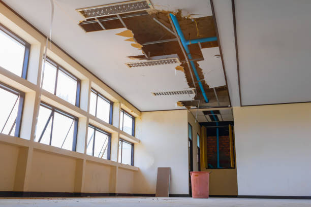 Water damage restoration mold remediation in Florida Gulf Coast University, FL