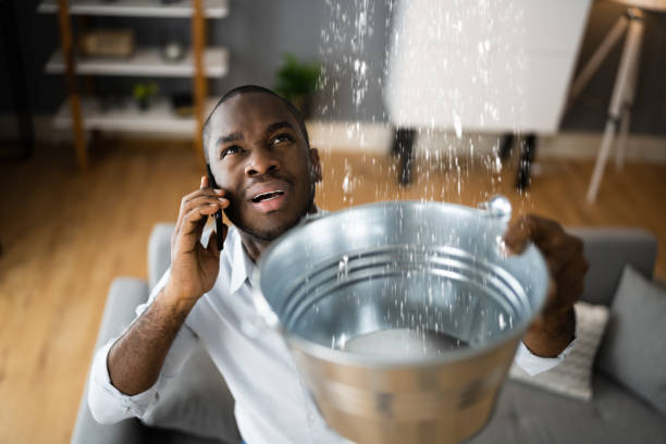Best Residential water damage restoration  in Orida Gulf Coast University, FL