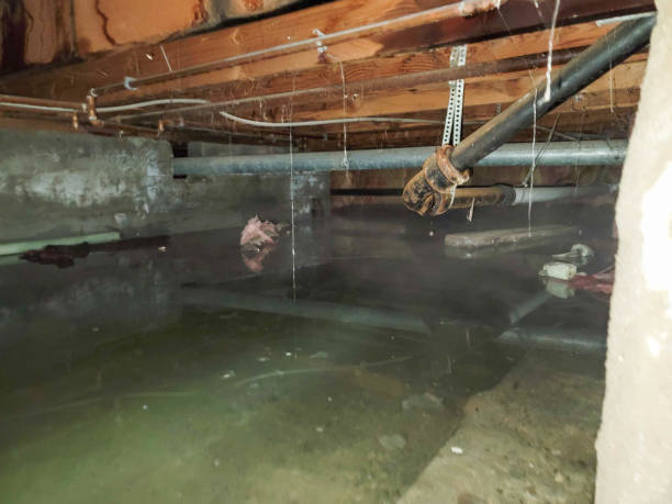 Best Water damage restoration near me  in Orida Gulf Coast University, FL