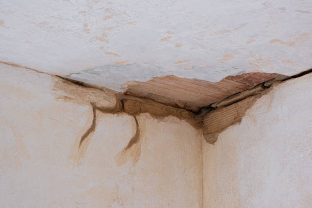 Best 24-hour water damage restoration  in Orida Gulf Coast University, FL