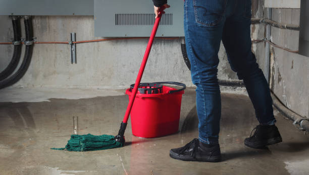 Best Flood restoration services  in Orida Gulf Coast University, FL