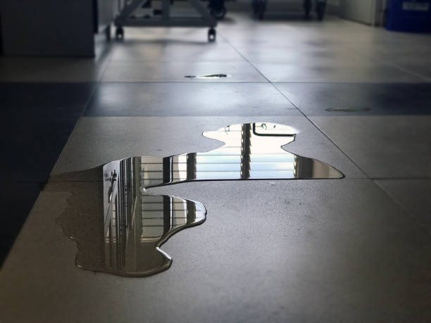 Best Flood damage cleanup  in Orida Gulf Coast University, FL