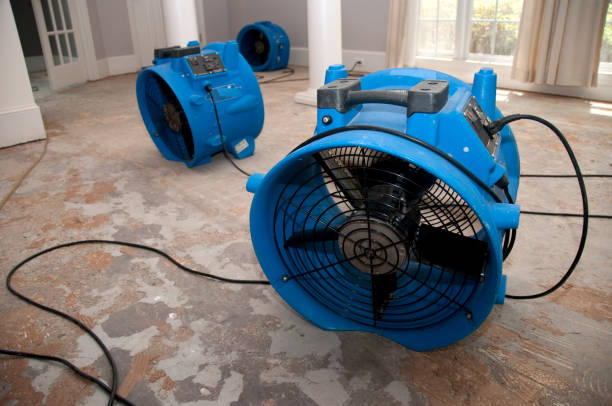 Best Basement water damage restoration  in Orida Gulf Coast University, FL
