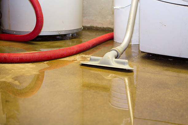 Best Mold removal after water damage  in Orida Gulf Coast University, FL