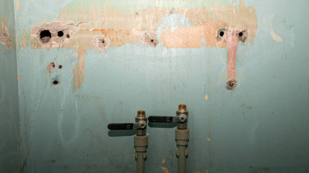  Orida Gulf Coast University, FL Water damage restoration Pros